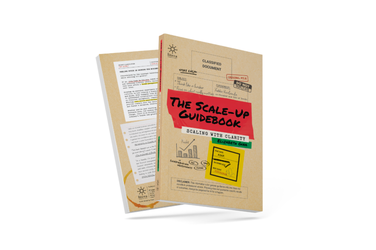 The Scale Up Guidebook – Elizabeth Gina